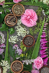 Image showing Herbal Medicine Selection