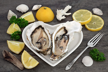 Image showing Delicious Fresh Oysters