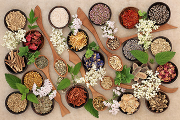 Image showing Herbal Medicine Selection