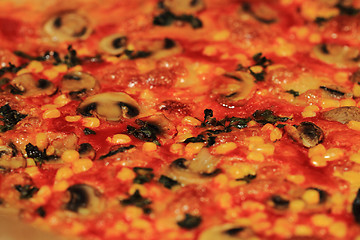 Image showing fresh champignon pizza background