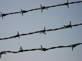 Image showing Old barbwire