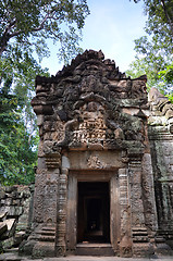 Image showing Ta Prohm Temple, Angkor, Cambodia