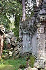 Image showing Ta Prohm Temple, Angkor, Cambodia