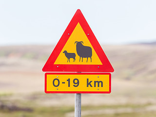 Image showing Real Sheep Crossing traffic sign