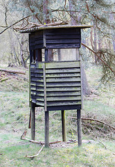 Image showing Wildlife observation point in the Netherlands