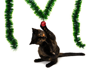 Image showing Kitten sitting on its hind legs and playing with a red Christmas