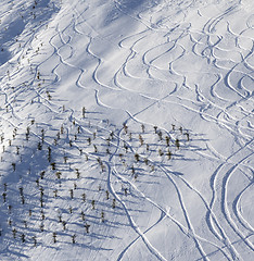 Image showing Off-piste slope with traces from ski and snowboard at sun mornin