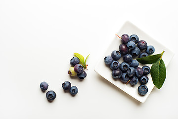 Image showing Blueberries