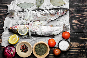 Image showing Raw fish and ingredients