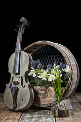 Image showing Violin And Flowers