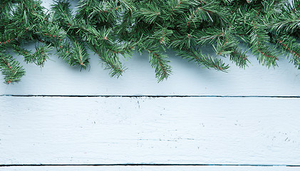 Image showing White wood board table with spruce branches, copy space background