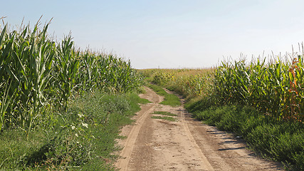 Image showing Unpaved Road