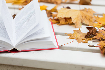 Image showing open book and autumn leaves on park bench