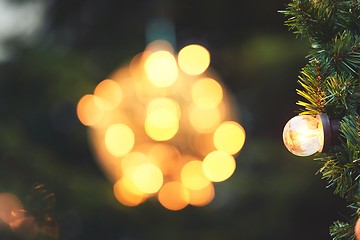 Image showing Bulb on the christmas tree