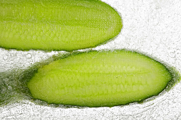 Image showing Cucumber slices in ice