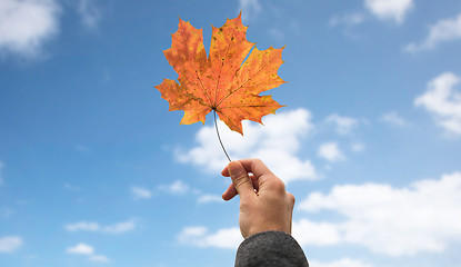Image showing close up of hand with autumn maple leaf over sky