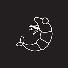 Image showing Shrimp sketch icon.