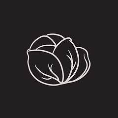 Image showing Cabbage sketch icon.