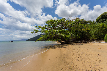 Image showing Beautiful dream paradise beach, Madagascar