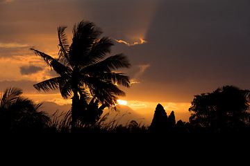 Image showing Coconut-tree palm silhouette and sunset over the river