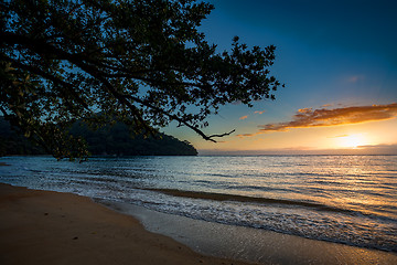 Image showing Beautiful dream paradise beach, Madagascar