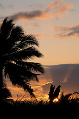 Image showing Coconut-tree palm silhouette and sunset over the river