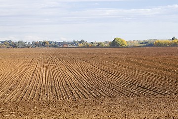 Image showing Agircutural field with brown soil