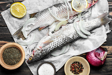 Image showing Raw fish and ingredients