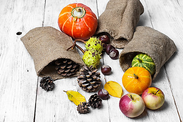 Image showing Autumn harvest of fruits and vegetables