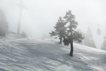 Image showing Skiing slopes in fog