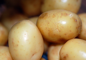 Image showing Fresh New Potatoes