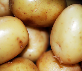 Image showing Pile of Potatoes