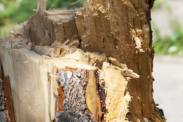 Image showing weathered wood broken