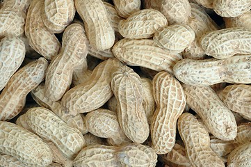 Image showing Peanuts