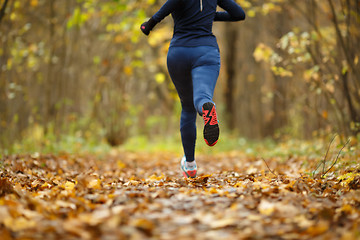 Image showing Woman in sportswear running autumn