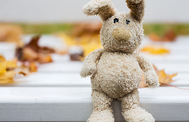 Image showing close up of toy rabbit on bench in autumn park