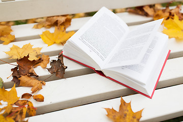 Image showing open book on bench in autumn park