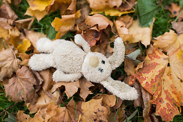 Image showing toy rabbit in fallen autumn leaves