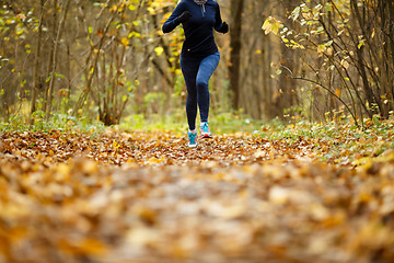 Image showing Girl in sportswear running autumn