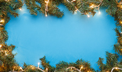 Image showing Spruce branches on blue background