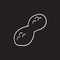 Image showing Peanut sketch icon.