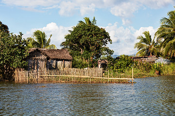 Image showing Madagascar traditional rural landscape with hut