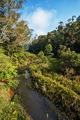 Image showing Madagascar beautiful landscape