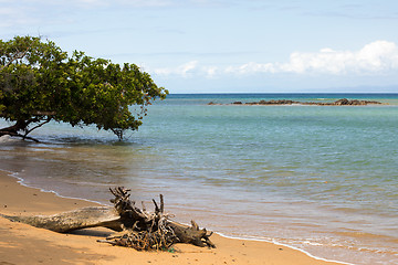 Image showing Beautiful dream paradise nature beach madagascar