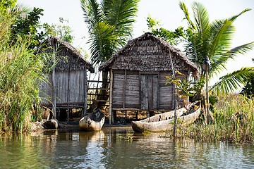 Image showing Madagascar traditional rural landscape with hut