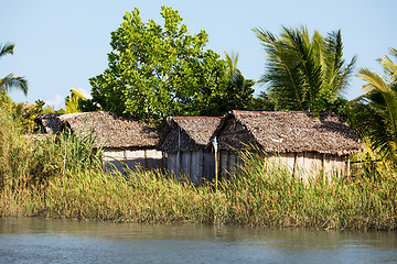 Image showing Madagascar traditional rural landscape with hut