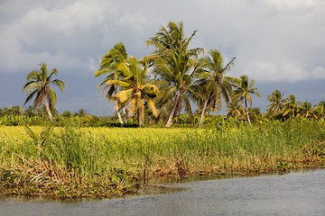 Image showing Madagascar traditional river landscape