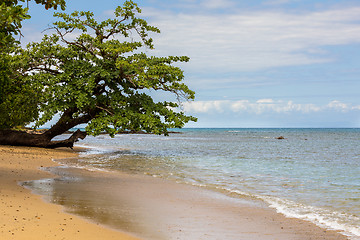 Image showing Beautiful dream paradise nature beach madagascar