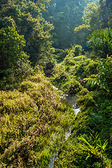 Image showing Madagascar beautiful landscape