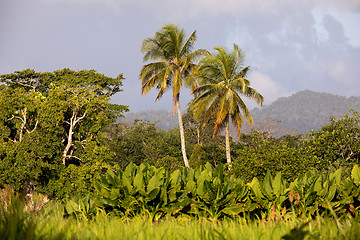 Image showing Madagascar traditional river landscape